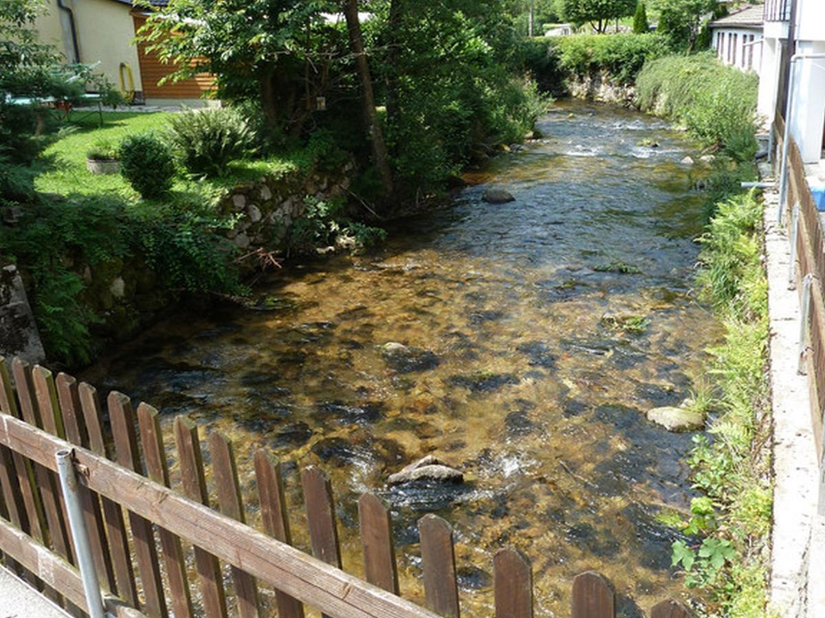 Landgasthof-Hotel-Roessle Oberprechtal Екстериор снимка
